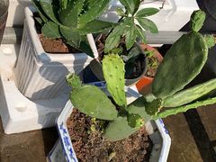 -星巴克(杭州银泰城西一店)
