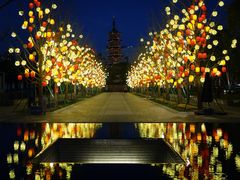 -龙华寺