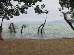 -捞渔河湿地公园