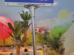 -秦皇岛乐岛海洋王国