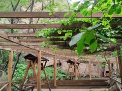 -大岭沟猕猴桃谷风景区