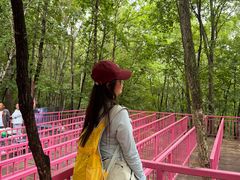 -帽儿山风景区