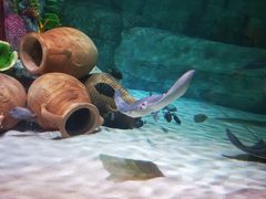 -沈阳海洋探索中心