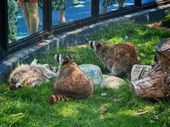 -大连森林动物园