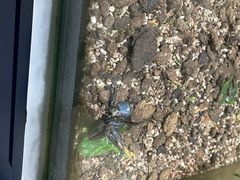 -上海昆虫博物馆