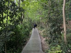 -上海佘山国家森林公园西佘山园