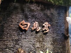 -白马宴·椒麻鸡(新华南路店)
