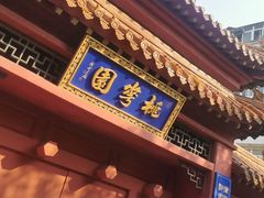 -桃花堤公园