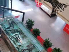 -饭怕鱼(阳光100店)