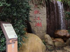 -雁南飞茶田景区