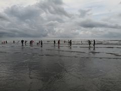 -江山半岛白浪滩景区