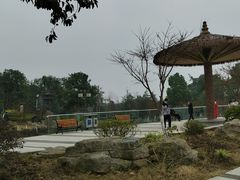 -铁山坪森林公园