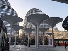 -新荟城(望京店)