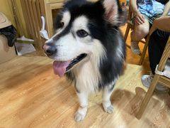 -白兔子密室(长寿路店)