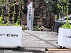 -江西阳明山国家森林公园