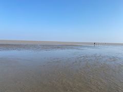 -南汇嘴观海公园