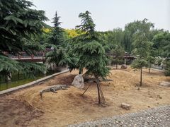 -石家庄市动物园