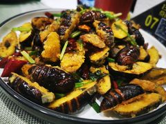 -渔娘渔家丹东海鲜(东直门店)