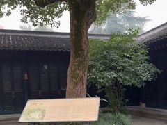 -浙江省博物馆(孤山馆区)