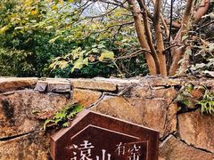 -远山有窑