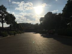 -仙岳公园