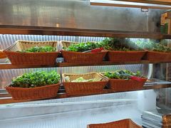 -新侗家食府(蟠桃宫店)