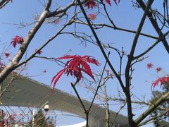 -江苏省美术馆(长江路新馆)