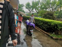 -金杨老摊头蛋饼(金口路店)