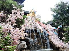 -茅山东方盐湖城景区