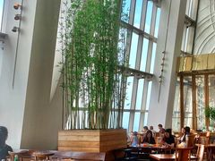 -上海柏悦酒店·世纪100牛排馆