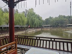 -尚庄度假村·庭台树下·户外烧烤·团建CS·轰趴营地(上庄水库店)