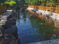 -汉拿山温泉度假酒店