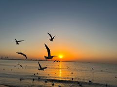 -老虎石海上公园