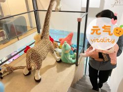 -奇怪的独角兽亲子理发沙龙