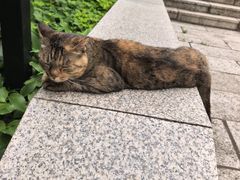 -北山公园