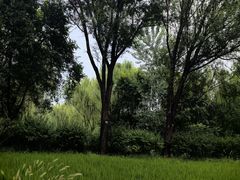 -北坞公园