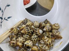花螺-蚝专家(北滘店)
