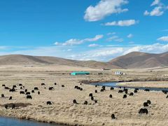 -天下黄河第一湾