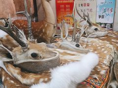 -乔家满族八大碗(中兴路店)