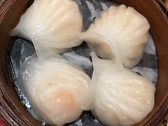 -高第街56号餐厅(宝龙店)