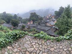 -杨家堂村