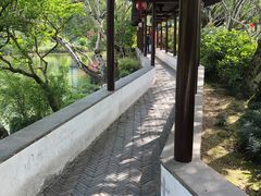 -上海醉白池公园