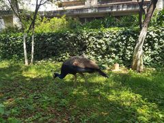 -昆明动物园
