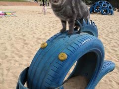 -玉园烧烤·海鲜辣炒