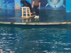 -苏州海洋馆