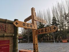 -青城公园