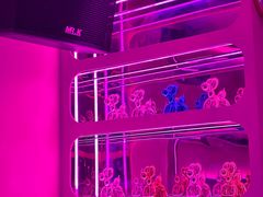 -ALICE PARTY自助式  KTV(松柏路店)