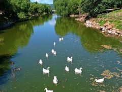 -北京张裕爱斐堡酒庄