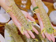 -凯华海鲜火锅·传承三十六年