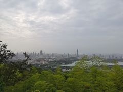 -紫金山山顶公园